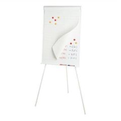 Flipchart blok, papír bílý - čtverečkovaný, 65x95,5 cm, 50 listů, ESSELTE ,balení 50 ks
