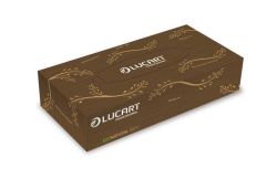 LUCART  Odličovací ubrousky Eco Natural, hnědá, 2-vrstvé, 100 ks, LUCART ,balení 100 ks