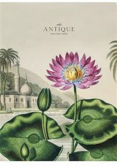 Sešit Antique, linkovaný, mix, A4, 80 listů, SHKOLYARYK A4-080-5079L