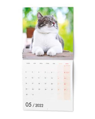 Nástěnný poznámkový kalendář, Kočky, 2022, CZ, BALOUŠEK