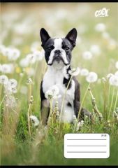Sešit B&W dogs, 27-32, mix motivů, A5, čtverečkovaný, 32 listů, COOL BY VICTORIA