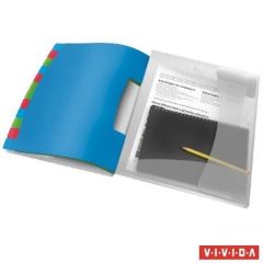 Třídicí desky Esselte Vivida, transparentní, A4, 12 částí, plast, ESSELTE