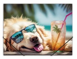 PANTA PLAST  Desky s gumičkou Chillout dog, A4, 15 mm, PP, PANTA PLAST