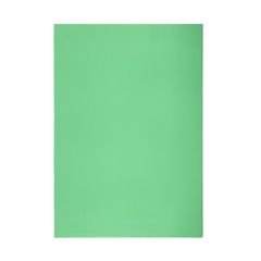 Karton P+P  Zakládací obal barevný A4 silný - zelená / 10 ks