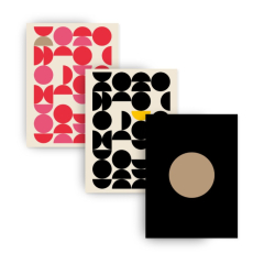 papírny Brno  Denní záznamy lamino - A6 / mix motivů