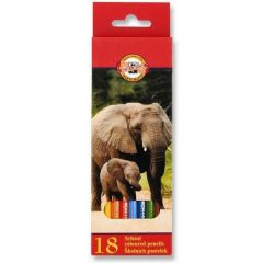 Pastelky Koh-i-noor Ptáci, Holky dlouhé / 18ks