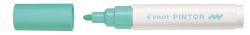 Popisovač Pilot Pintor M / pastelově zelená