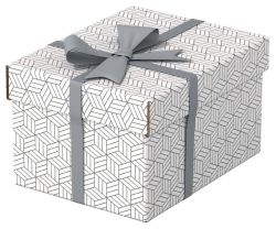 ESSELTE  Krabice úložná Esselte - S / bílá / 255 x 200 x 150 mm / 3 ks