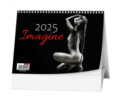 Baloušek  Kalendář stolní obrázkový Imagine / BSE9