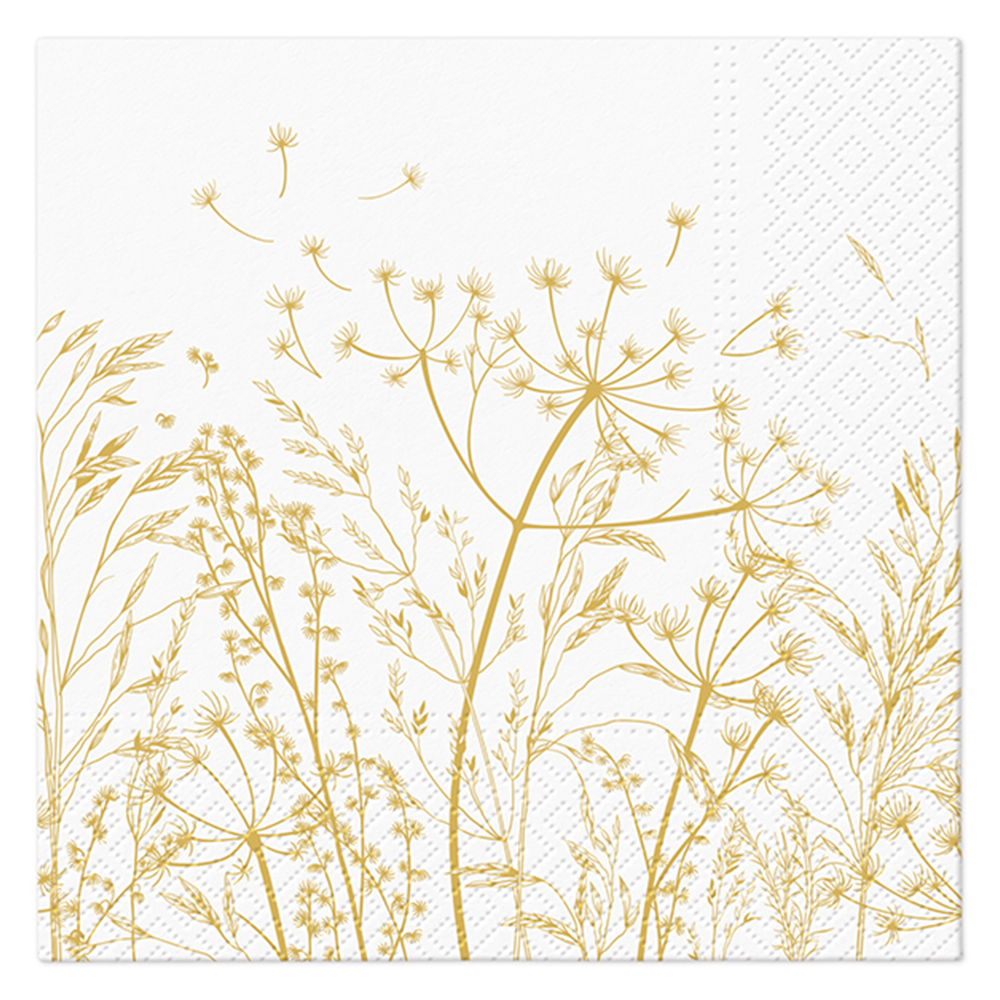 kliknutít zobrazíte maximální velikost obrázku