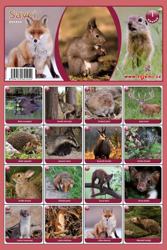 kliknutít zobrazíte maximální velikost obrázku