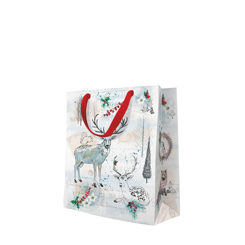 kliknutít zobrazíte maximální velikost obrázku