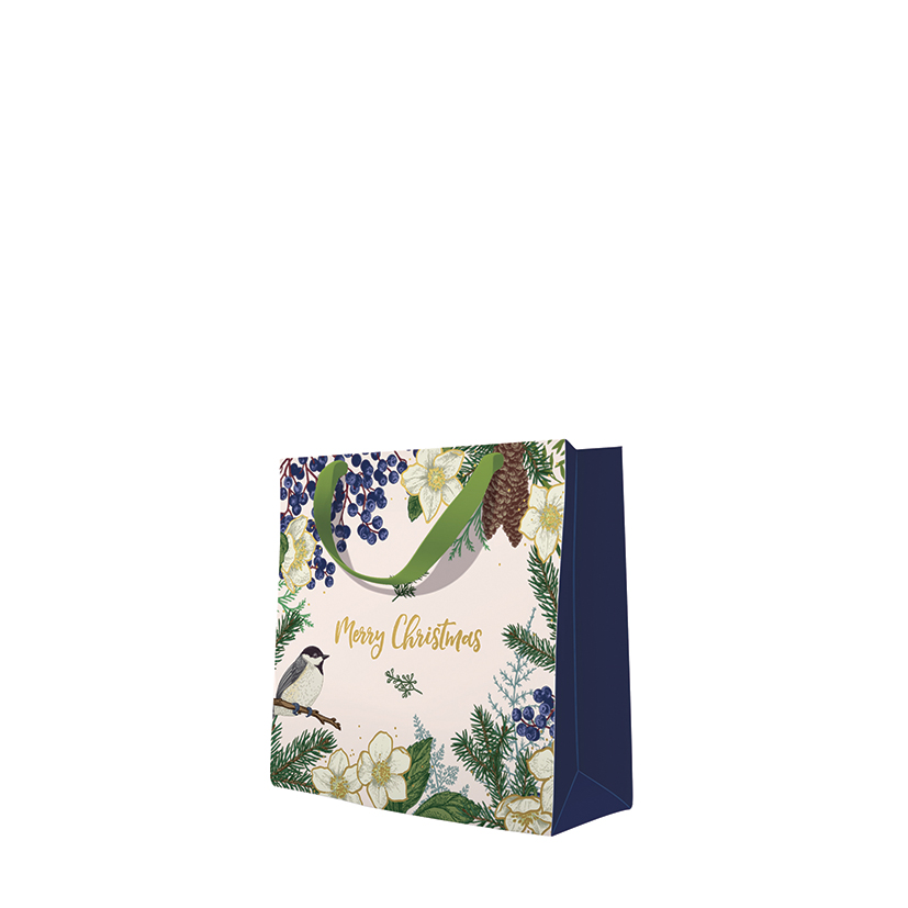 kliknutít zobrazíte maximální velikost obrázku