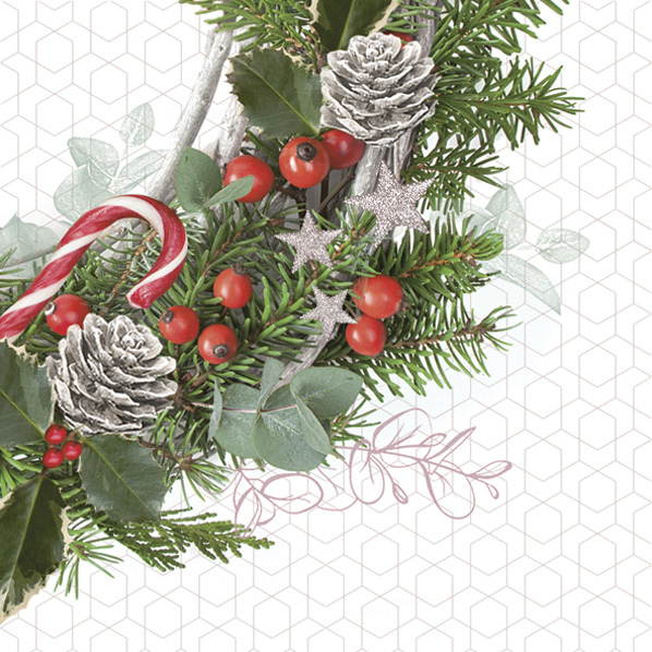 kliknutít zobrazíte maximální velikost obrázku