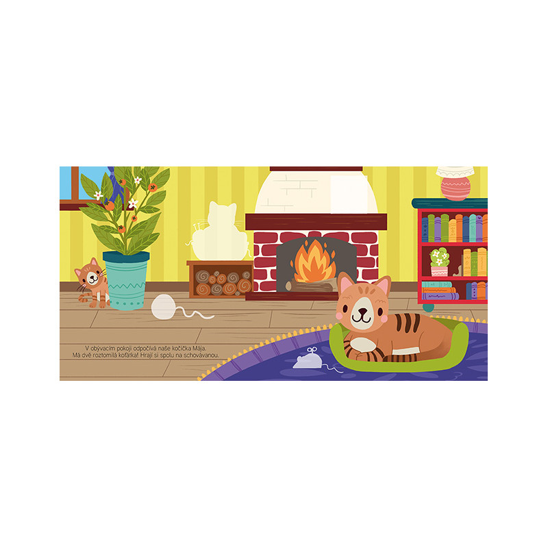 kliknutít zobrazíte maximální velikost obrázku