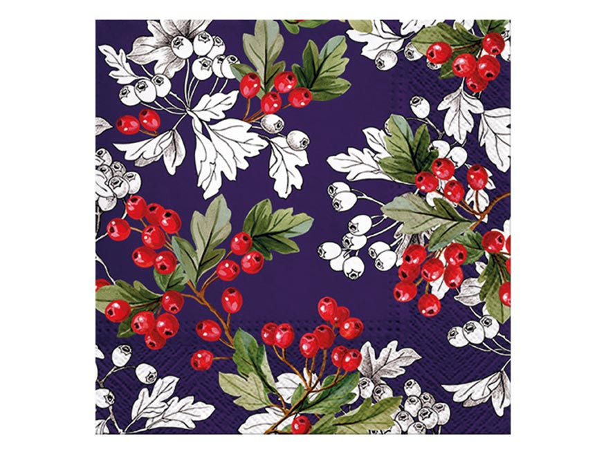 kliknutít zobrazíte maximální velikost obrázku