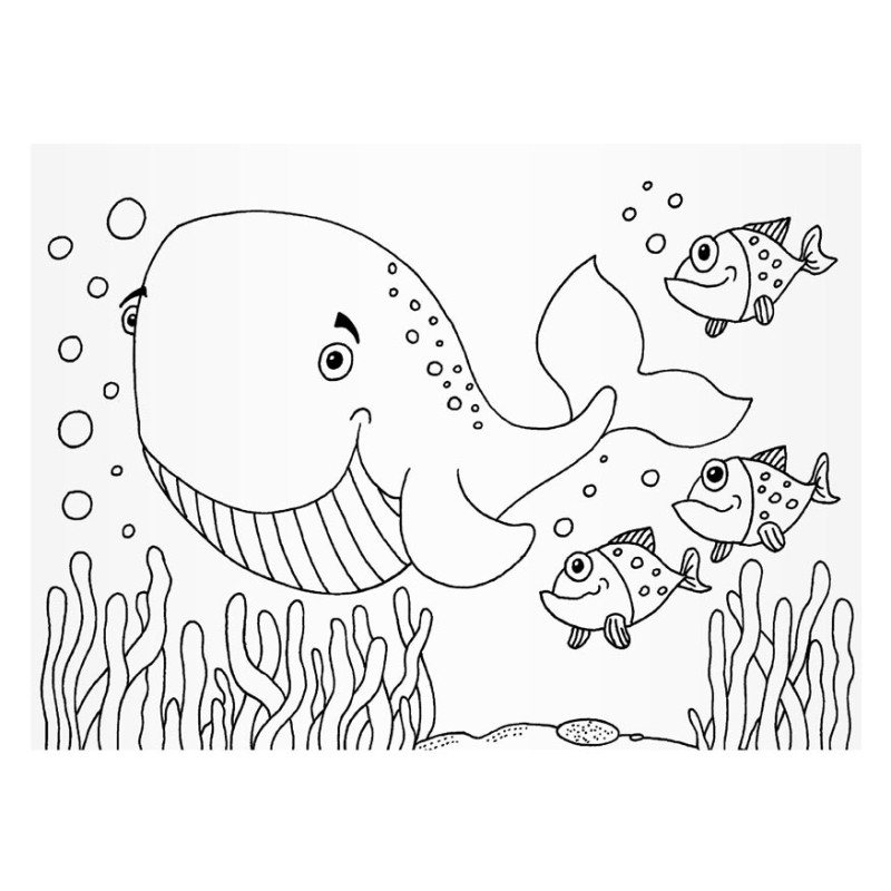 kliknutít zobrazíte maximální velikost obrázku