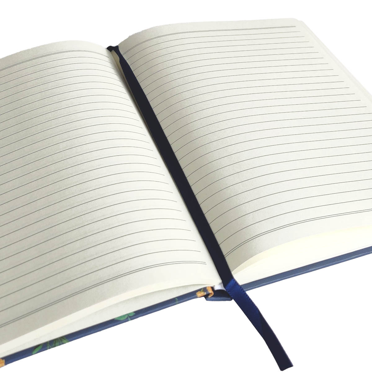 kliknutít zobrazíte maximální velikost obrázku