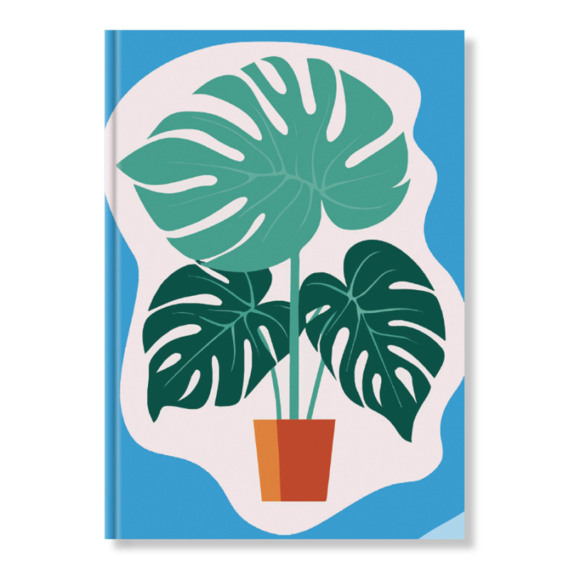 kliknutít zobrazíte maximální velikost obrázku