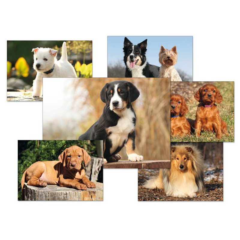 kliknutít zobrazíte maximální velikost obrázku