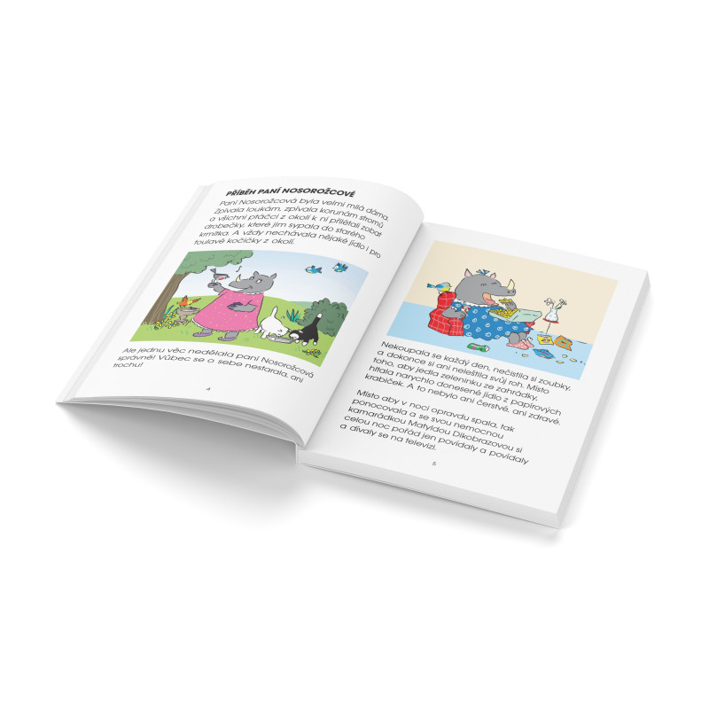 kliknutít zobrazíte maximální velikost obrázku