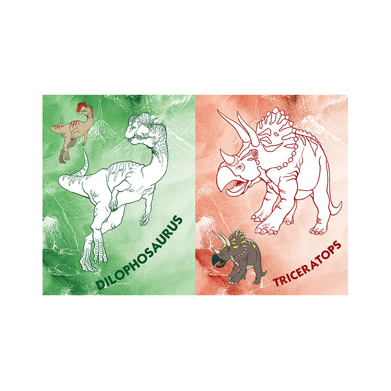 kliknutít zobrazíte maximální velikost obrázku