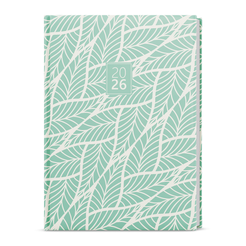 kliknutít zobrazíte maximální velikost obrázku