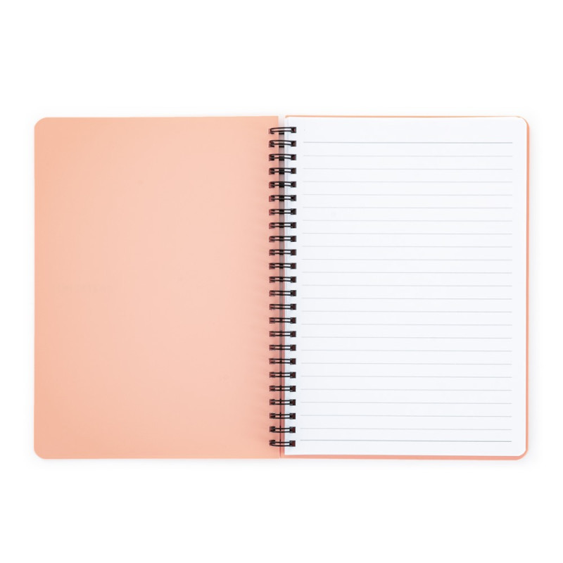 kliknutít zobrazíte maximální velikost obrázku