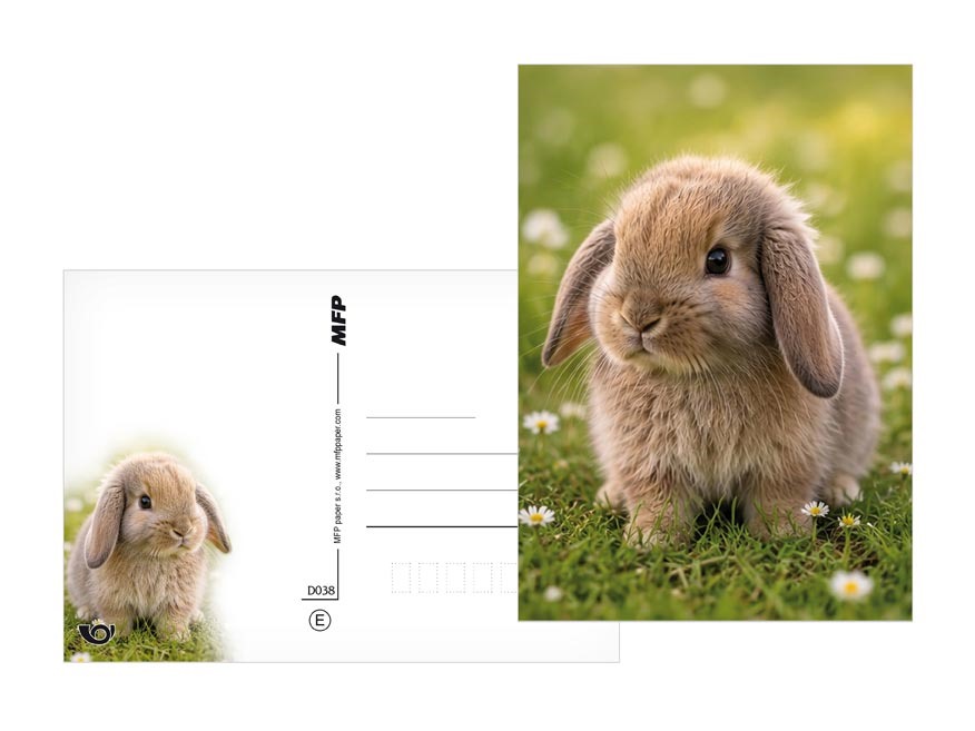 kliknutít zobrazíte maximální velikost obrázku