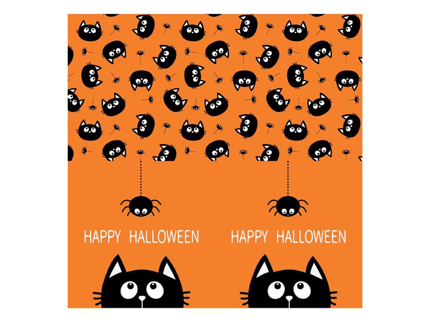 kliknutít zobrazíte maximální velikost obrázku