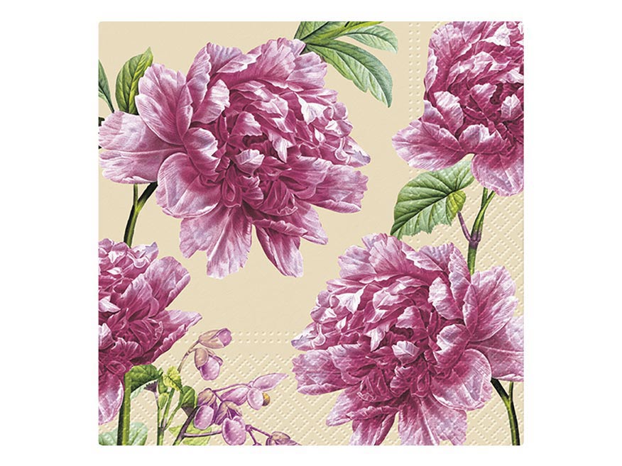 kliknutít zobrazíte maximální velikost obrázku