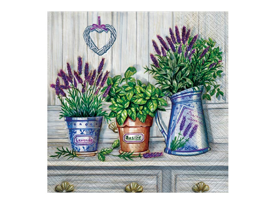 kliknutít zobrazíte maximální velikost obrázku