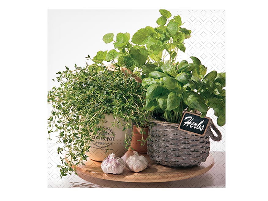 kliknutít zobrazíte maximální velikost obrázku