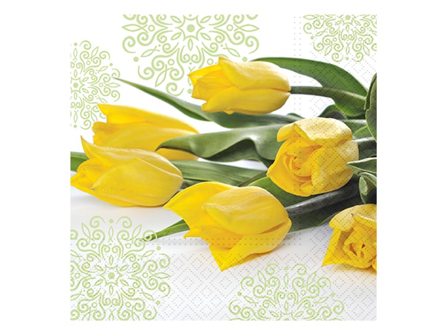 kliknutít zobrazíte maximální velikost obrázku