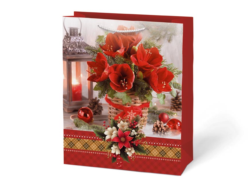 kliknutít zobrazíte maximální velikost obrázku