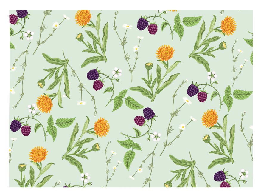 kliknutít zobrazíte maximální velikost obrázku