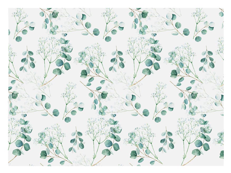 kliknutít zobrazíte maximální velikost obrázku