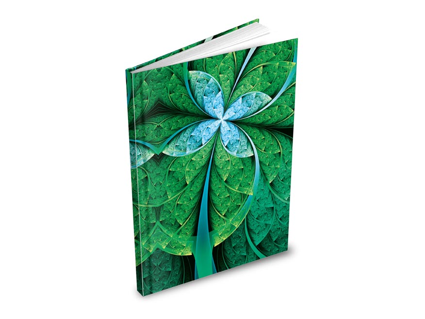 kliknutít zobrazíte maximální velikost obrázku