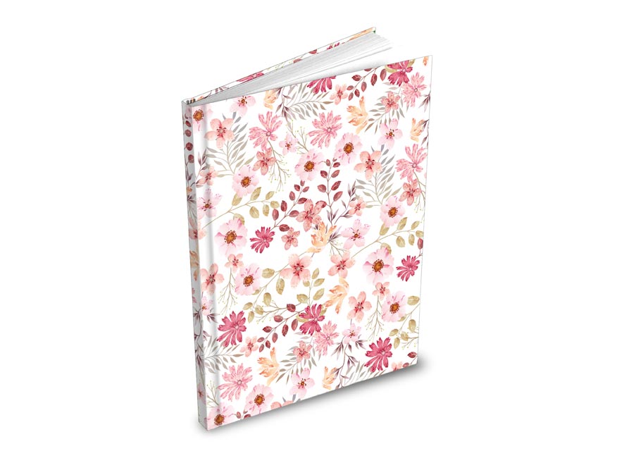 kliknutít zobrazíte maximální velikost obrázku