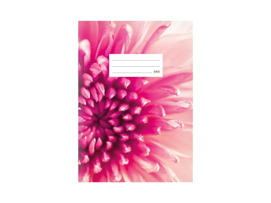 kliknutít zobrazíte maximální velikost obrázku