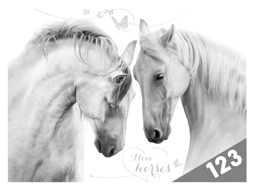 kliknutít zobrazíte maximální velikost obrázku