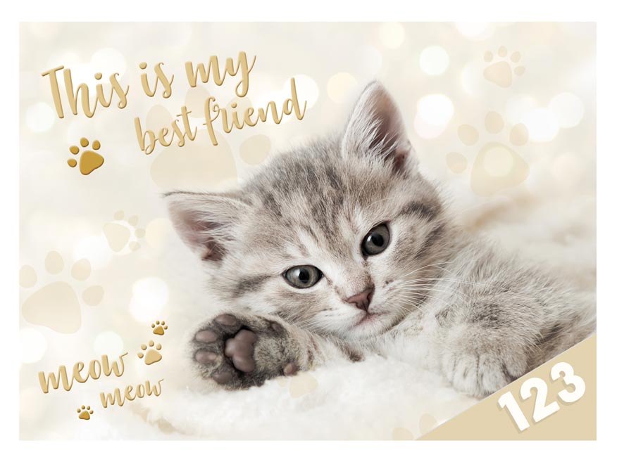 kliknutít zobrazíte maximální velikost obrázku